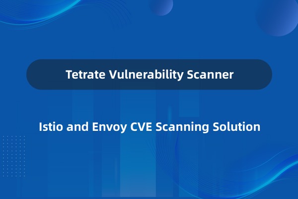 TVS：Istio 和 Envoy CVE 扫描解决方案