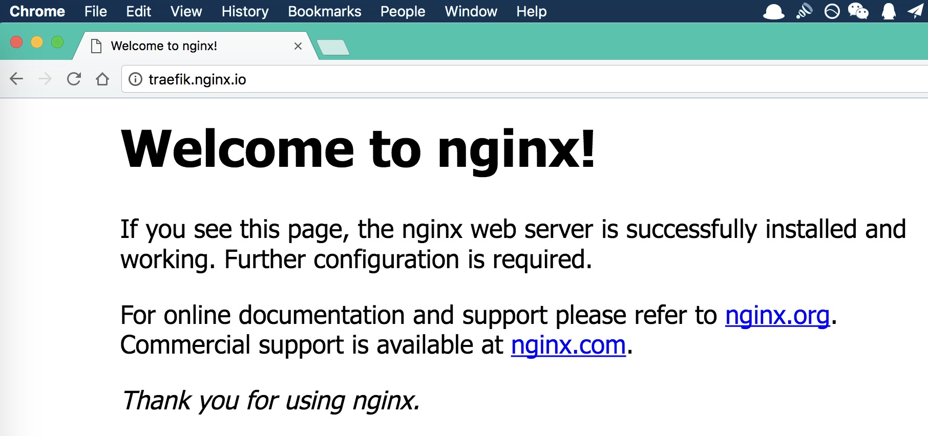 Nginx 页面